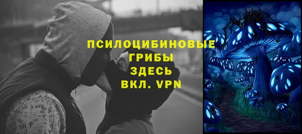 прущие грибы Армянск