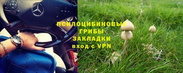 прущие грибы Армянск