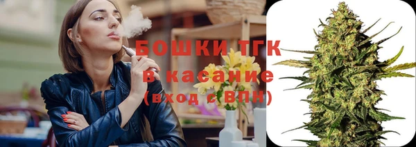 прущие грибы Армянск