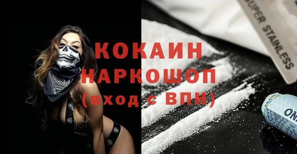 прущие грибы Армянск