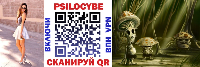 Купить закладки  Павловская  Галлюциногенные грибы Magic Shrooms 